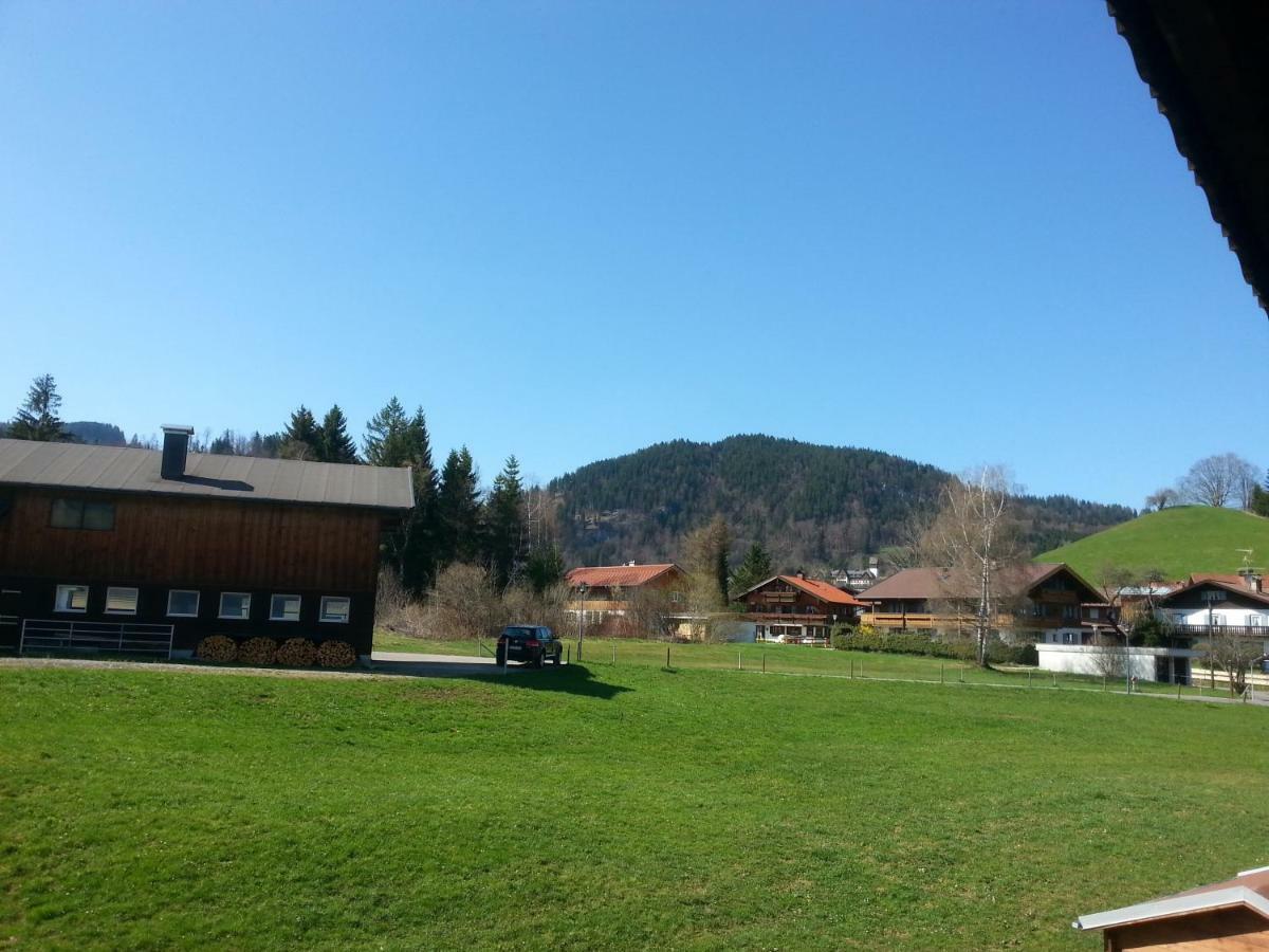 Alpentraum - Schmetterling Oberstdorf